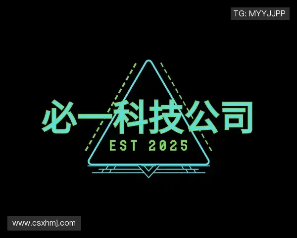 发现必一科技公司